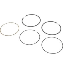 Kit de segments Briggs et Stratton - 797011