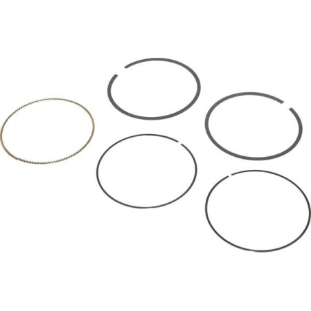 Briggs and Stratton Ring-Kit – 797011