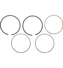 Kit de segments Briggs et Stratton - 794126