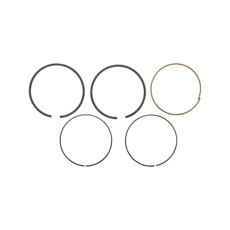 Kit segmenti Briggs e Stratton - 794126
