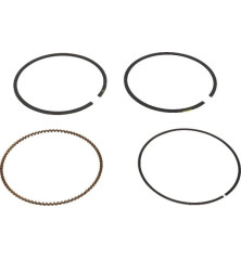 Kit de segments Briggs et Stratton - 791787