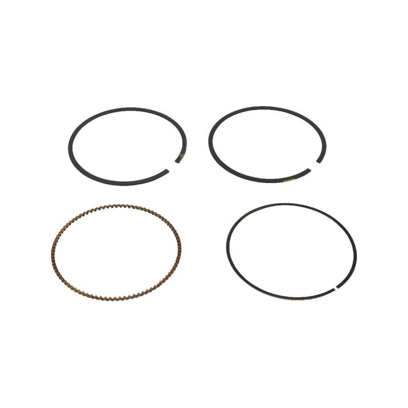 Zuigerveren set Briggs en Stratton - 791787