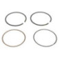 Kit de segments Briggs et Stratton - 791787