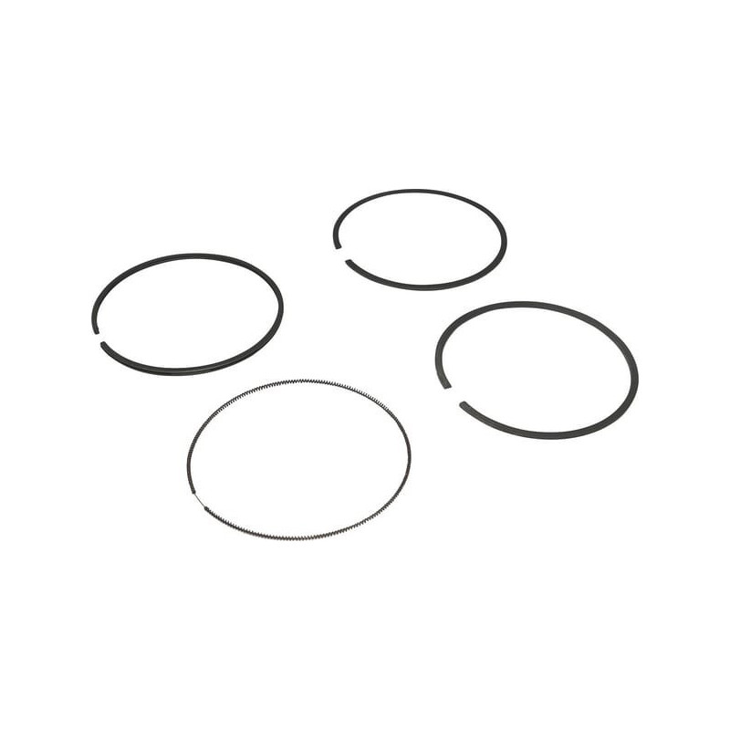 Briggs en Stratton zuigerveren set - 694004