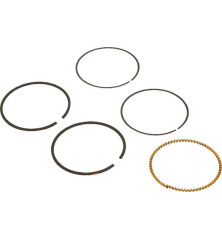 Kit de segments Briggs et Stratton - 590523