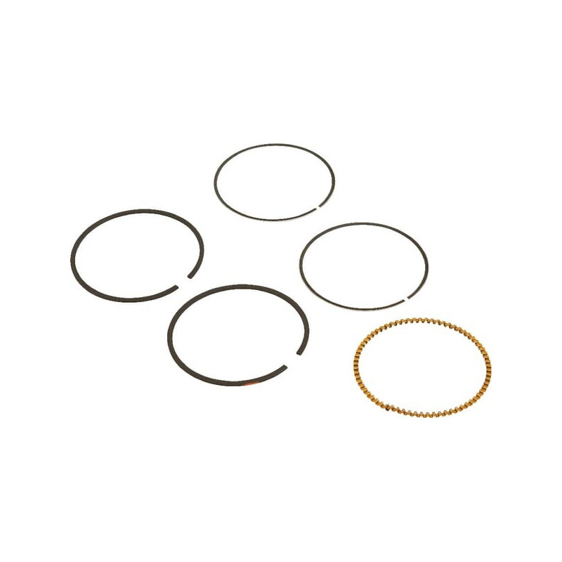 Briggs & Stratton zuigerveren set - 590523