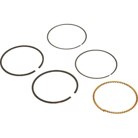 Kit de segments Briggs et Stratton - 590523