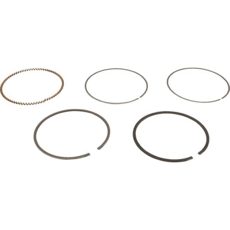 Briggs and Stratton Ring Kit - 843806