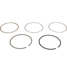 Kit de segments Briggs et Stratton - 843806 2