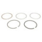 Zuigerveren Kit Briggs et Stratton - 843806