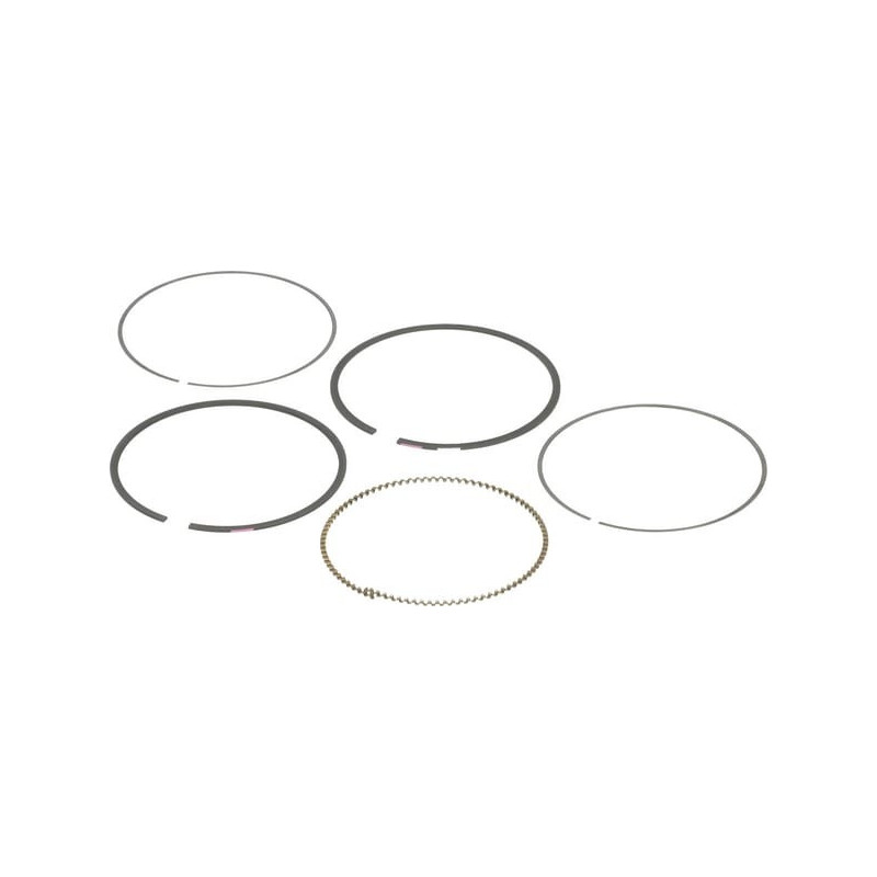 Kit de segmentos Briggs y Stratton - 792026