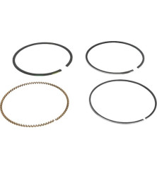 Briggs und Stratton Ring-Kit – 591286