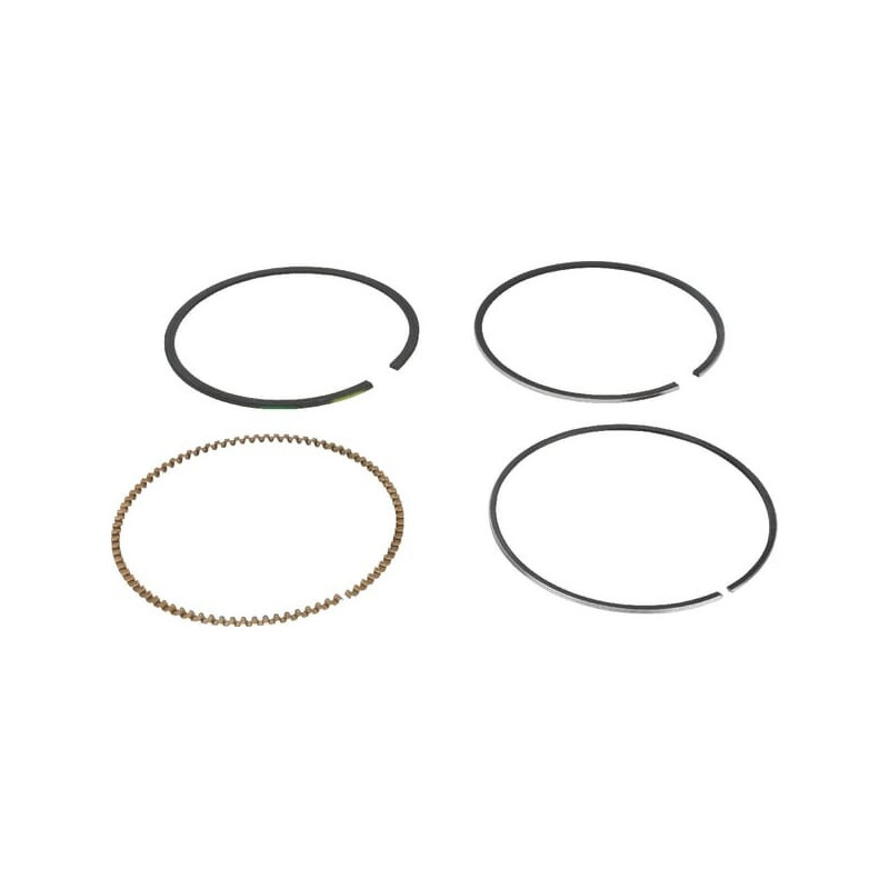 Kit de segments Briggs et Stratton - 591286