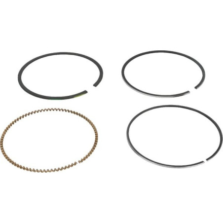 Briggs and Stratton Ring Kit - 591286