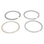 Kit de segments Briggs et Stratton - 591286