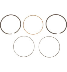 Briggs und Stratton Ring-Kit – 792649