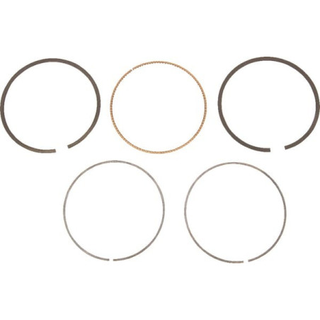 Briggs and Stratton Ring Kit - 792649