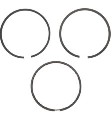 Briggs and Stratton Ring-Kit – 495851