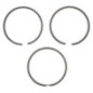 Kit de segments Briggs et Stratton - 495851