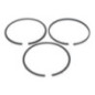 Conjunto de segmentos -020 Briggs and Stratton - 843822
