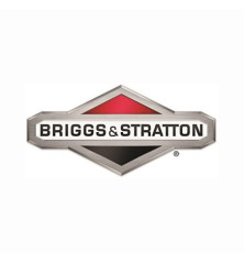 Briggs- und Stratton-Zylinder – 699505