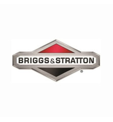 Cilindro Briggs y Stratton - 699505