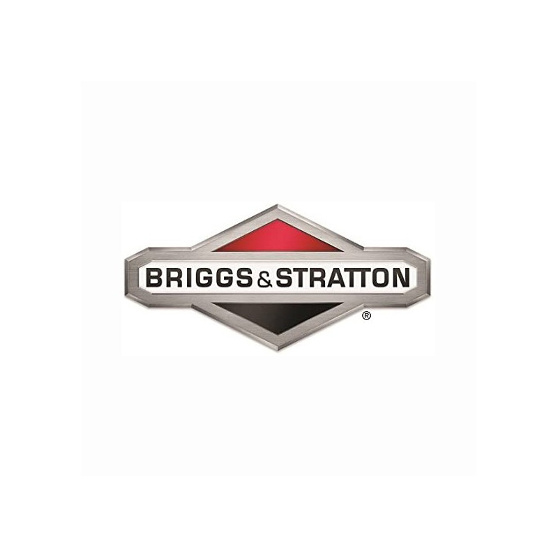 Briggs und Stratton Zylinder - 699505
