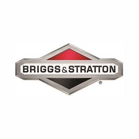 Briggs- und Stratton-Zylinder – 699505