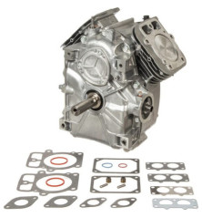 Briggs- und Stratton-Zylinder – 797093A 2