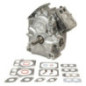 Briggs- und Stratton-Zylinder – 797093A