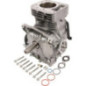 Bloque corto modelo 31 vertical Briggs and Stratton - 592060A Bloque corto modelo 31 vertical Briggs and Stratton - 592060A