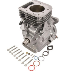 Shortblock modello 31 verticale Briggs and Stratton - 592060A 2