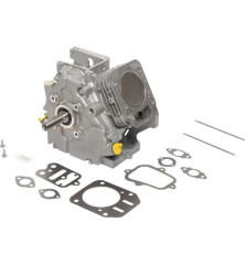 Shortblock modelo 15 Briggs and Stratton - 795433A