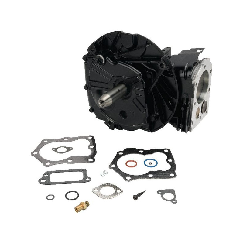 Shortblock Briggs et Stratton - 799980