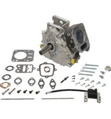 Briggs und Stratton Shortblock – 699585