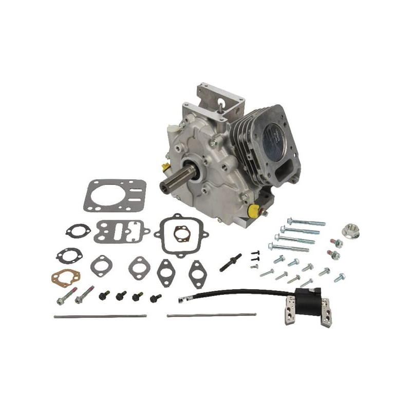 Bloque corto Briggs y Stratton - 699585 Bloque corto Briggs y Stratton - 699585