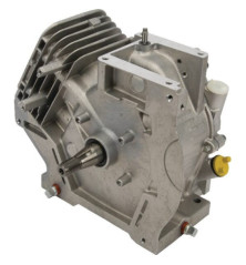 Bloque corto Briggs y Stratton - 699585 3