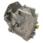 Bloque corto Briggs y Stratton - 699585 Bloque corto Briggs y Stratton - 699585