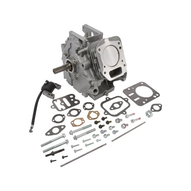 Shortblock Briggs en Stratton - 699582 Shortblock Briggs en Stratton - 699582