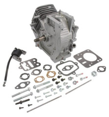 Shortblock Briggs und Stratton – 699582