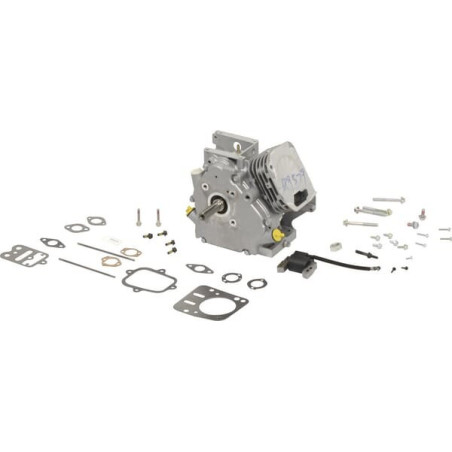 Shortblock Briggs und Stratton – 699579