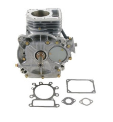 Shortblock Briggs und Stratton – 697739