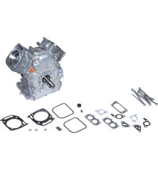 Bloque corto Briggs y Stratton - 695390