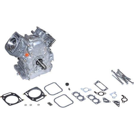 Bloque corto Briggs y Stratton - 695390