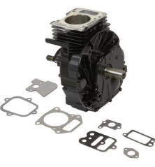 Shortblock Briggs et Stratton - 692749