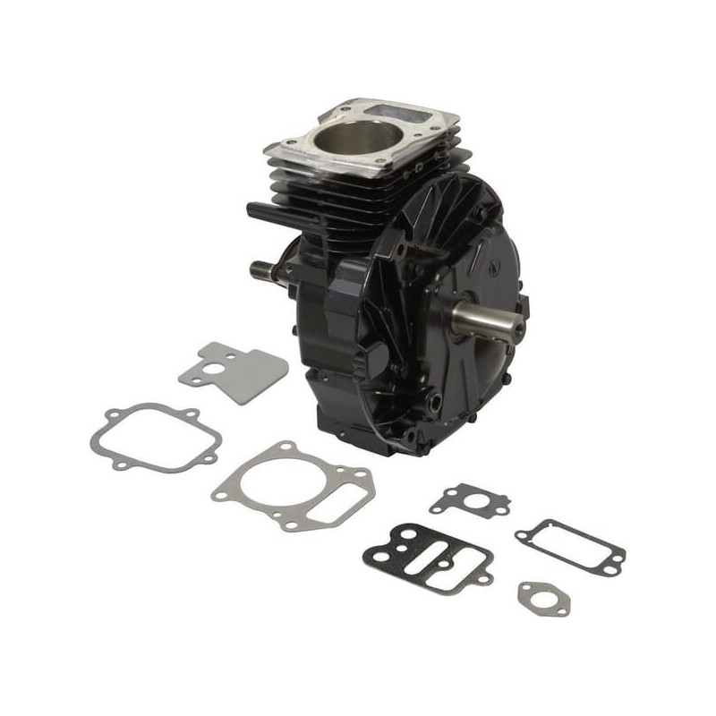 Shortblock Briggs y Stratton - 692749 Shortblock Briggs y Stratton - 692749