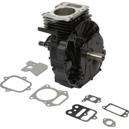 Shortblock Briggs et Stratton - 692749