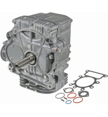 Bloque corto Briggs y Stratton - 592056