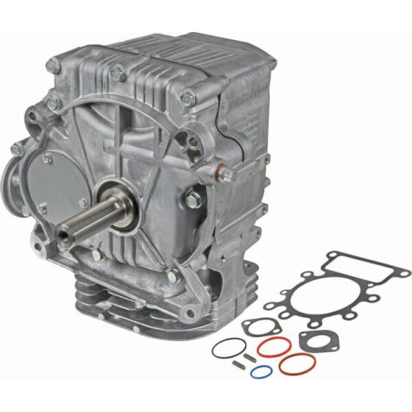 Bloque corto Briggs y Stratton - 592056