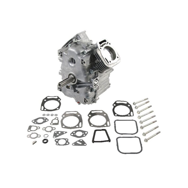 Bloque corto Briggs y Stratton - 496241 Bloque corto Briggs y Stratton - 496241